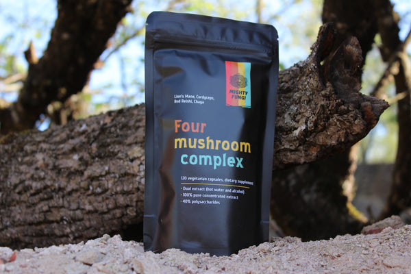 Our Fantastic Four – the Four Mushroom Complex!