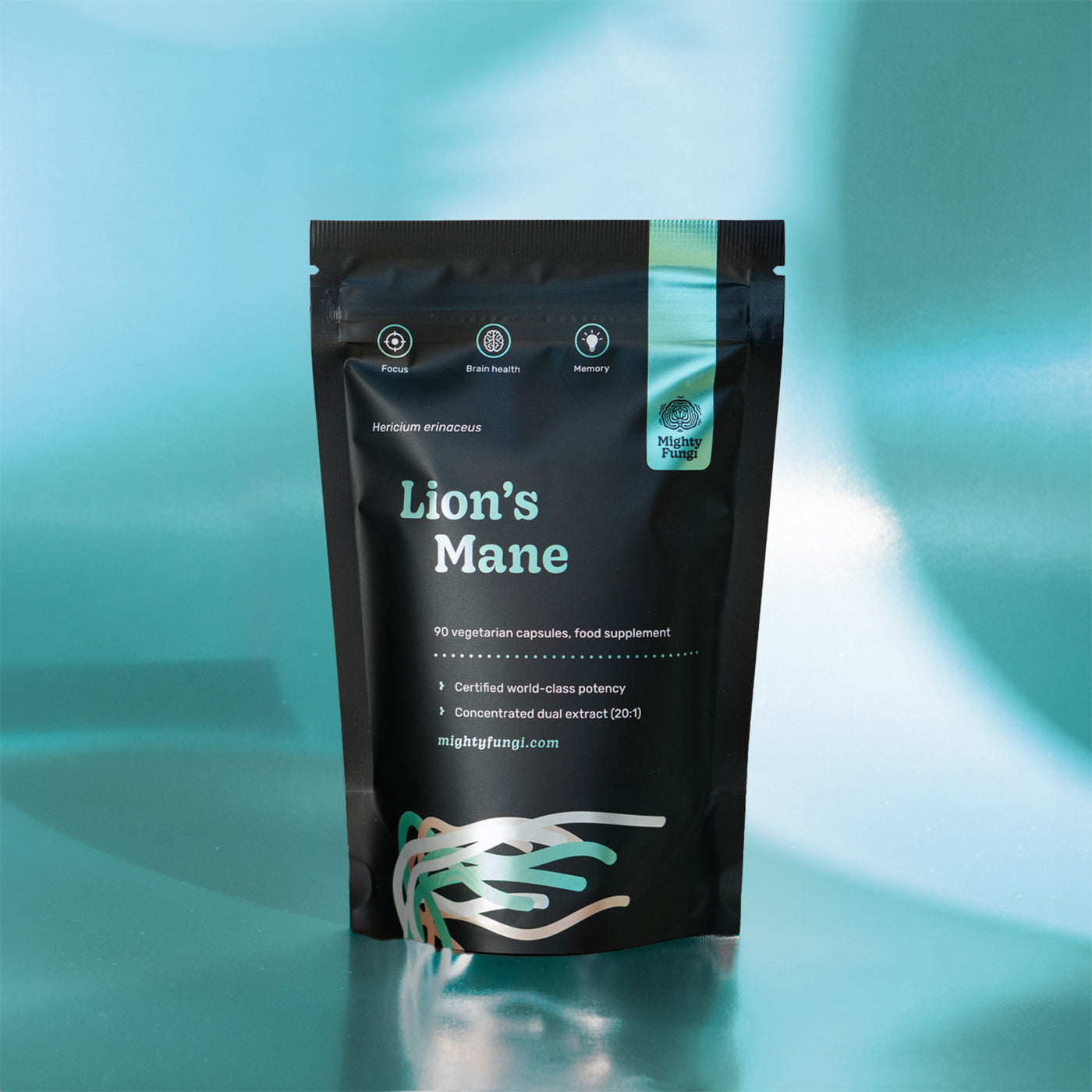 Lion’s Mane Extract