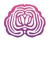 Mighty Fungi - World Class Quality Supplements for Focus